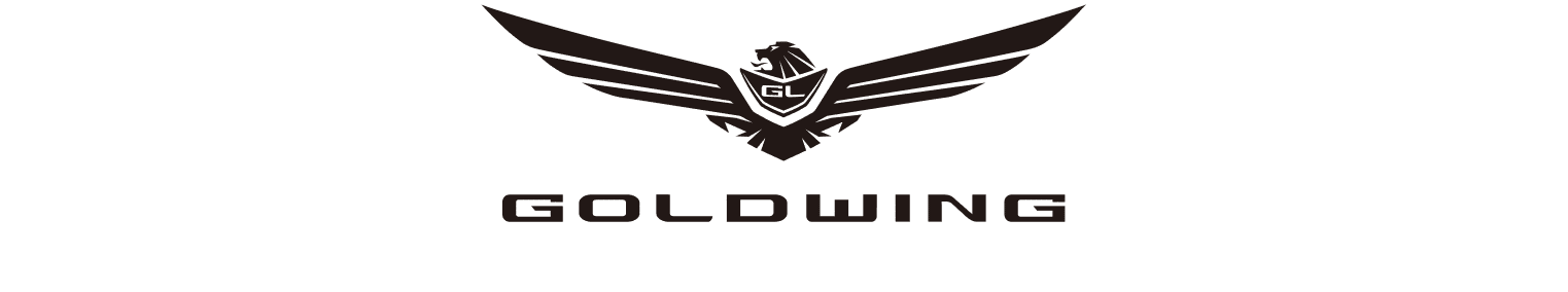 GL1800 Gold wing